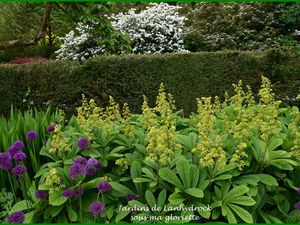 Les jardins de Lanhydrock en Cornouailles anglaises