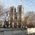 paris(notre dame)