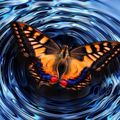 L'Effet papillon contre la désespérance, par Kamel Nasser