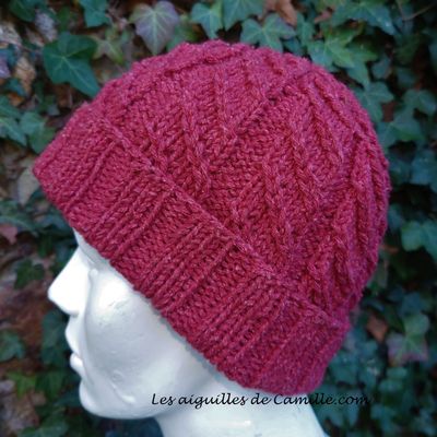 Traveler's Beanie