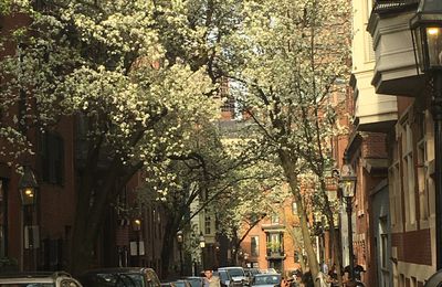 Printemps a Beacon Hill 2 mai