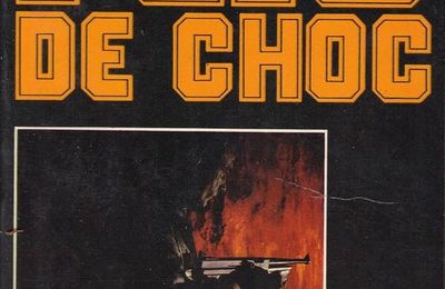Flic de choc : gangs chinois sur Paris