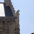 Château Forteresse de CHINON 