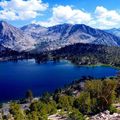 All you have to do at the Sequoia National Park, by Julia C