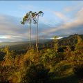 Vue de l'Eden