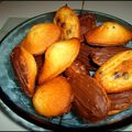 Madeleines aux pépites de chocolat avec coques au chocolat