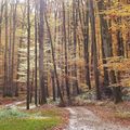 Septembre