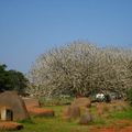 Auroville...