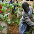 05/02 - INDE : L’HOMME QUI A PLANTÉ  UNE FORÊT DE SES MAINS