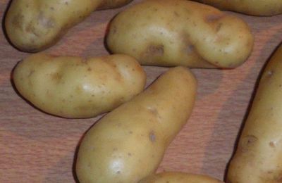 Apéro "ratte"