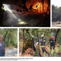 Incendies en Gironde