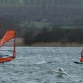 Course insolite cet après-midi sur le lac de Madine