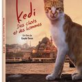 Chronique DVD Kedi des chats et des hommes : le documentaire qui vous fait encore plus aimer les félins!! 