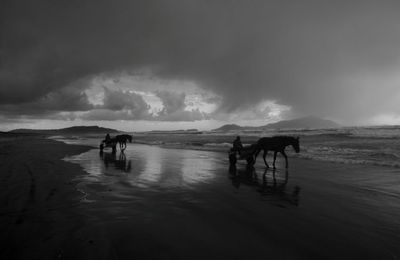 [CRITIQUE] Pompéi, Sotto le Nuvole : une vie au rythme des secousses volcaniques