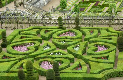 Val de Loire - Villandry - le jardin d'ornement 1