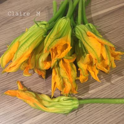 BEIGNETS DE FLEURS DE COURGETTES