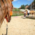 Journée horsathlon et horse agility 