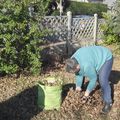 Ménage, jardinage, tricotage et papotage