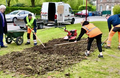 CITÉ FONNÉ : LES FLEURS APRÈS LES AMÉNAGEMENTS.