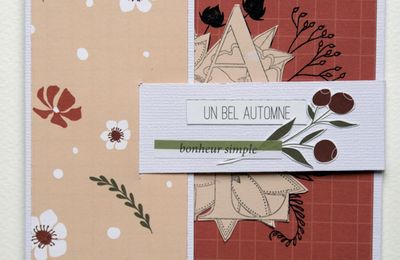 Défis Ha.Pi Little Fox: #9