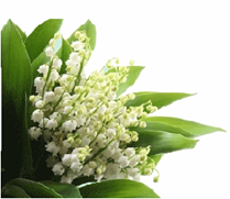 Dimanche 1er mai 2016 : venez marcher au profit du Relais pour la Vie !!!