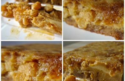Diplomate au pain d'épices