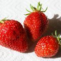 Premières fraises du jardin...