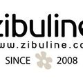 DT ZIBULINE