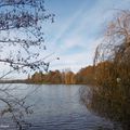 Une balade au Lac du HOUGA (32), le 5 décembre...