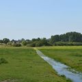 [Bretagne] promenade sur le marais de Sougéal