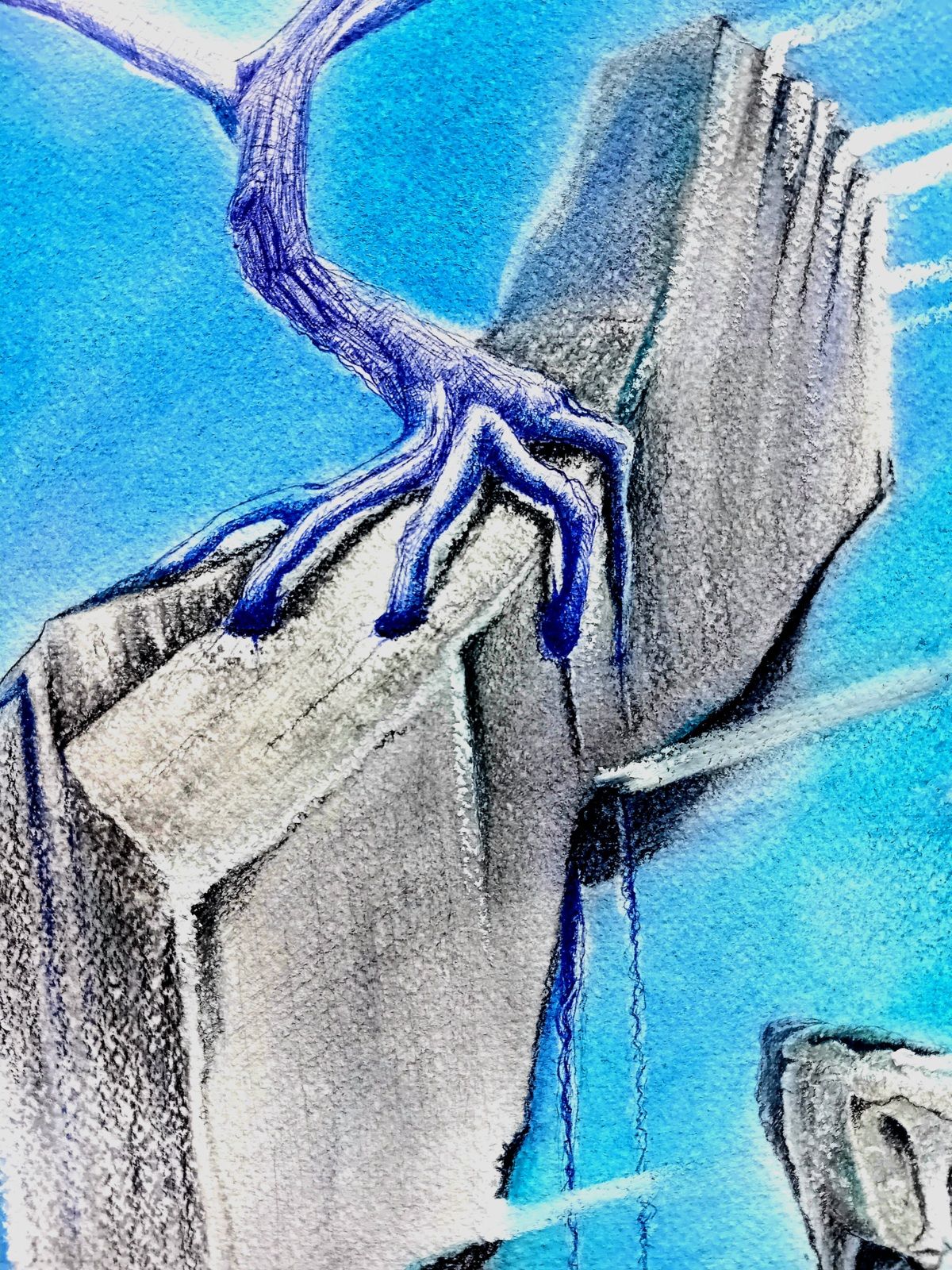 Arbre suspendu sur un rocher flottant. Stylo Bic et crayon, pierre noire, fusain et crayon de couleur. Détail sur les racines qui rappellent une main qui s'accroche désespérément à la vie. 