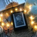 L'engrange-Temps (tome 1) - Nell Pfeiffer
