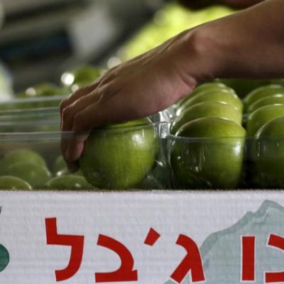 !!Génocide à Gaza: 844!! Bonne nouvelle: le boycott international menace l’effondrement des exportations agricoles sionistes
