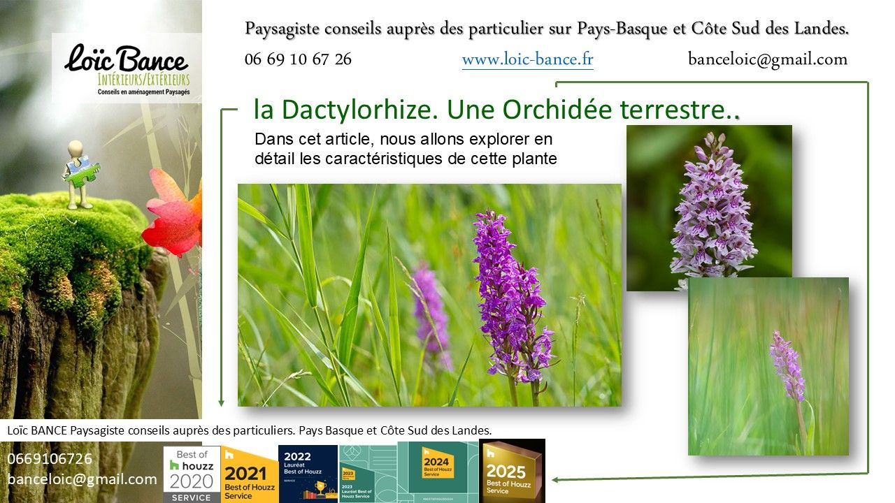 Loic BANCE, paysagiste Pays Basque, Paysagiste Landes, Paysagiste conseils aux particuliers.