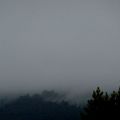 Photo "brouillard du matin"