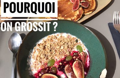 Pourquoi on grossit, de Gary Taubes : la révélation ! 