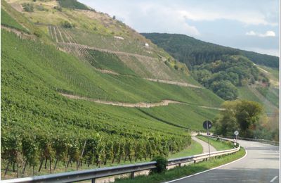 De Trèves à Bernkastel au fil de la Moselle