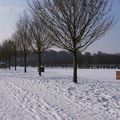 0992 - Promenade hivernale de Janvier