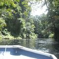 Impressions du Costa Rica (6) : Tortuguero