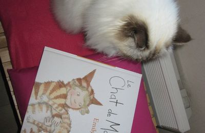 Le Chat de Mathilde - Emily Gravett