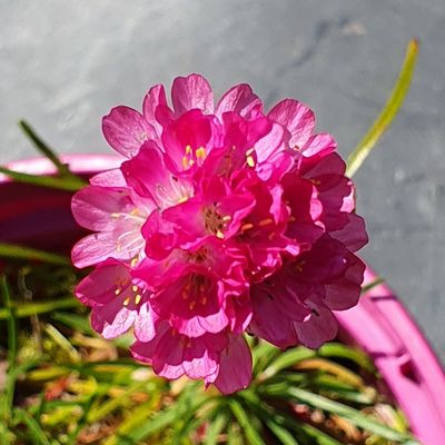 Photos du Dimanche !