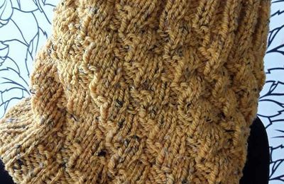 Tricot: 2 tours de cou bien chauds!