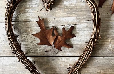 La vie en papillottes