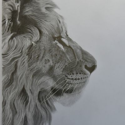 197 - Le Lion,