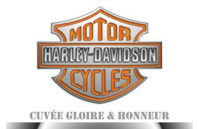 Nouvelle réalisation - Club Harley Davidson de St Girons
