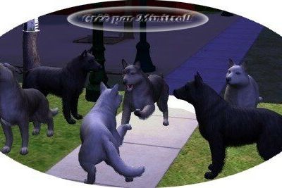 Les Loups-Garous partie 1