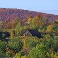 Bon automne 