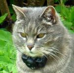 Le Blog de Frimousse