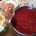 Geléee de groseilles et Tiramisu aux framboises au sirop d'hibiscus 