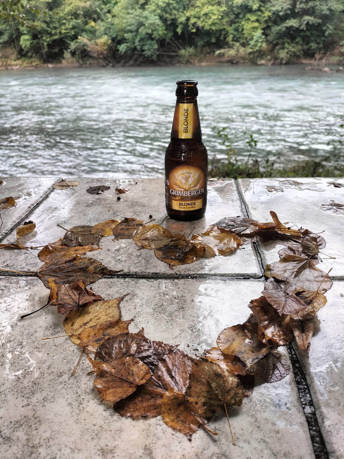Viellenave-de-Navarrenx, bord de Gave, apéro love d'automne (64)